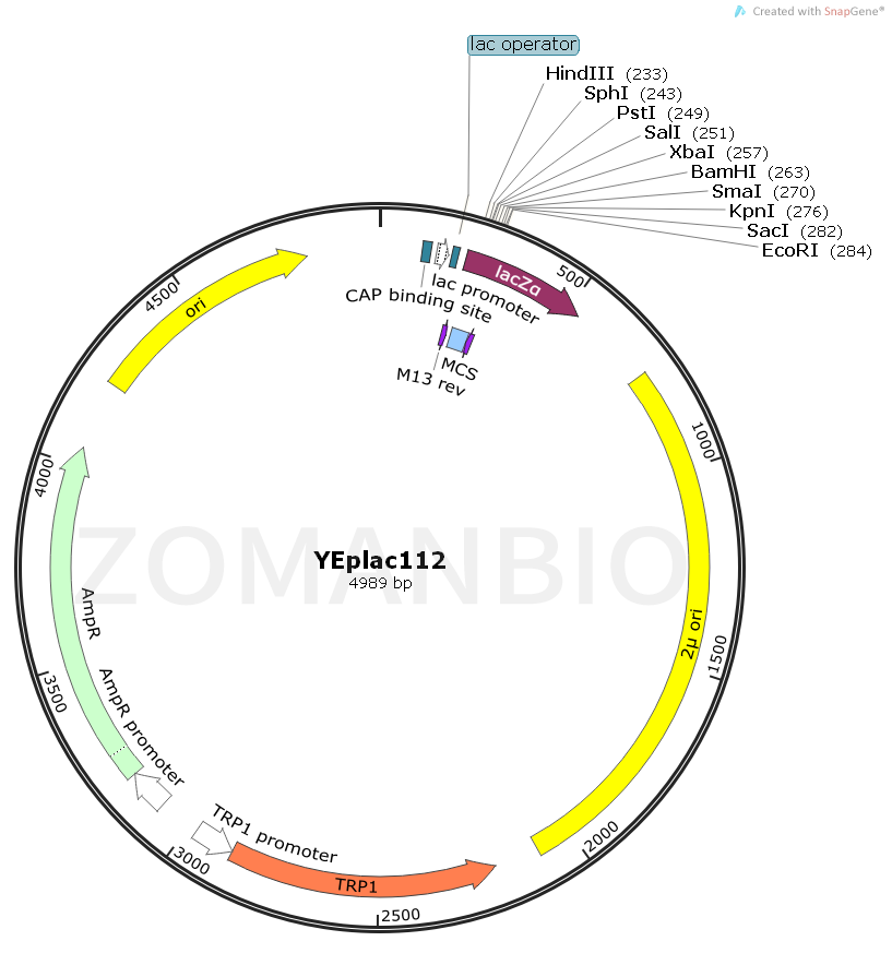 ZK2057 YEPlac112.png