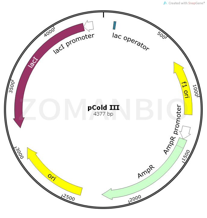 ZK1590 pCold III.png