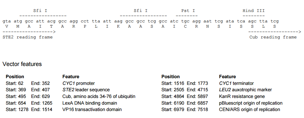 ZK1713 pBT3-STE 1.png