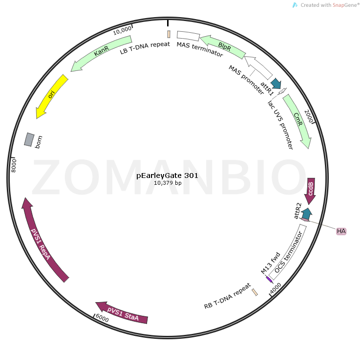 ZK1805 pEarleyGate 301.png