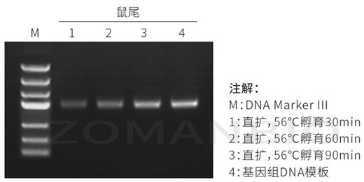 22.9.29 動(dòng)物直擴(kuò)圖.jpg