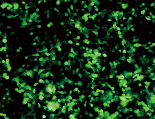 23.9 ZC302-上圖1.jpg 圖片