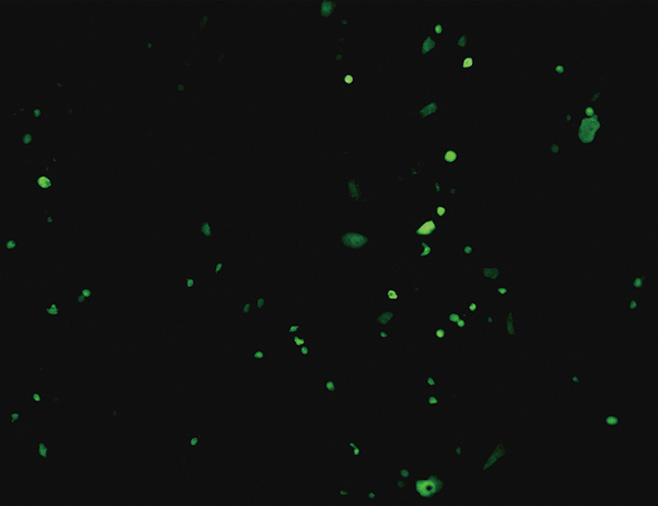 23.9 ZC302-下圖4.jpg 圖片